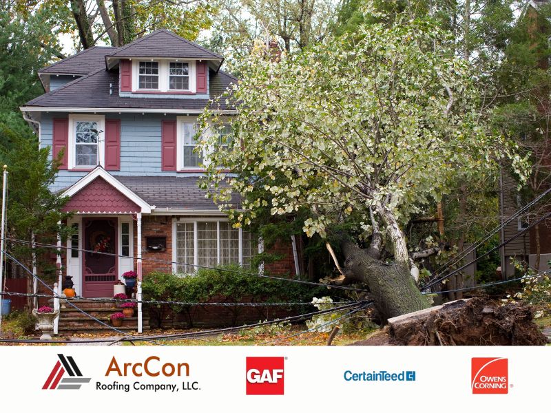 Large single family home with tree down in yard causing damage to roof and siding