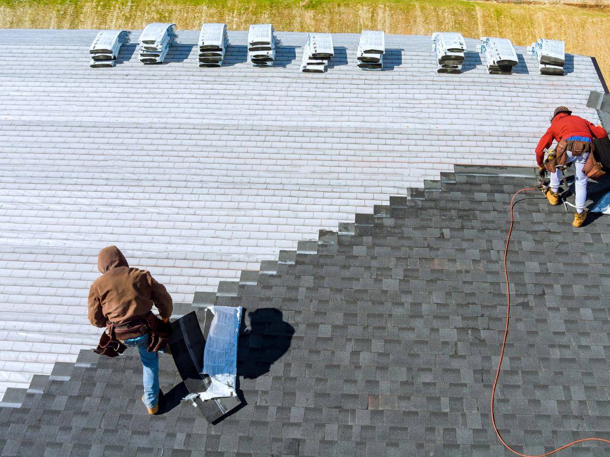 shingle roofing